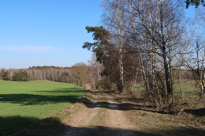 Szutry okolice Lipowa 3