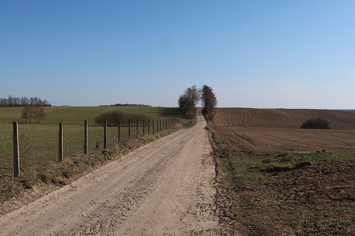 Szutry, okolice Nowej Wsi 2