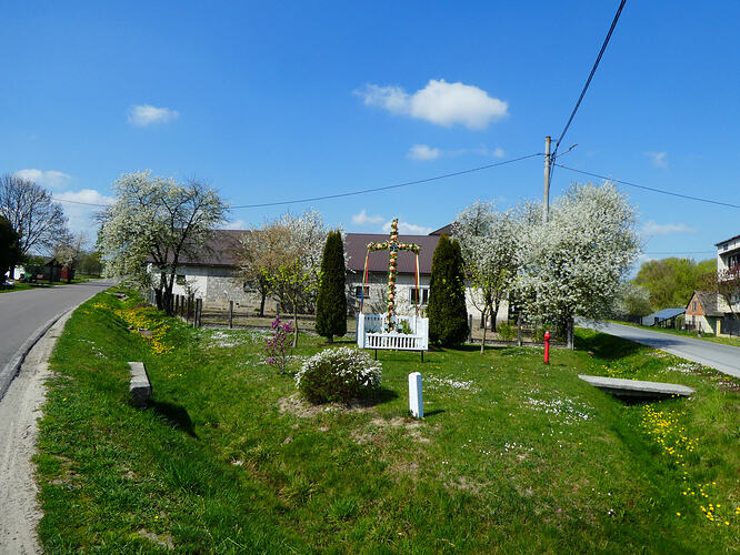 P1030513