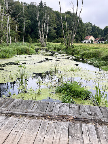 147 km - mostek na Starej Łynie.HEIC