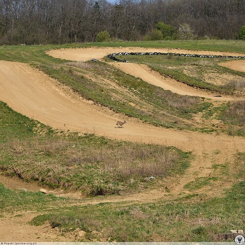 Tor_motocrossowy_Glogow_7925965