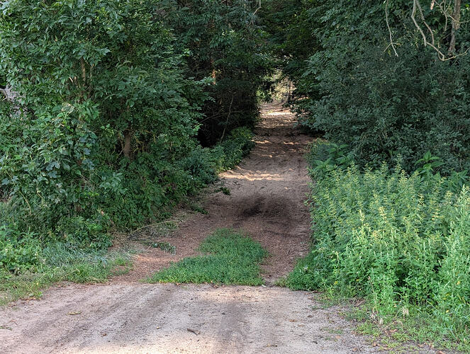 PXL_20260726_064500009