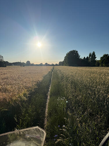 IMG_5156