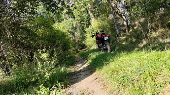 P_20241012_132716