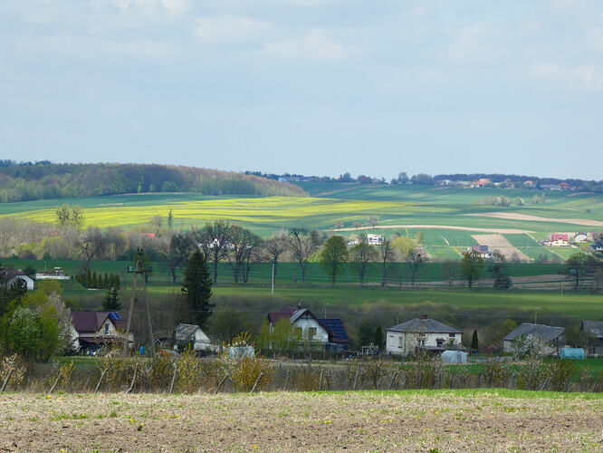 P1030538