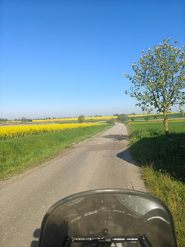 IMG20260510083120