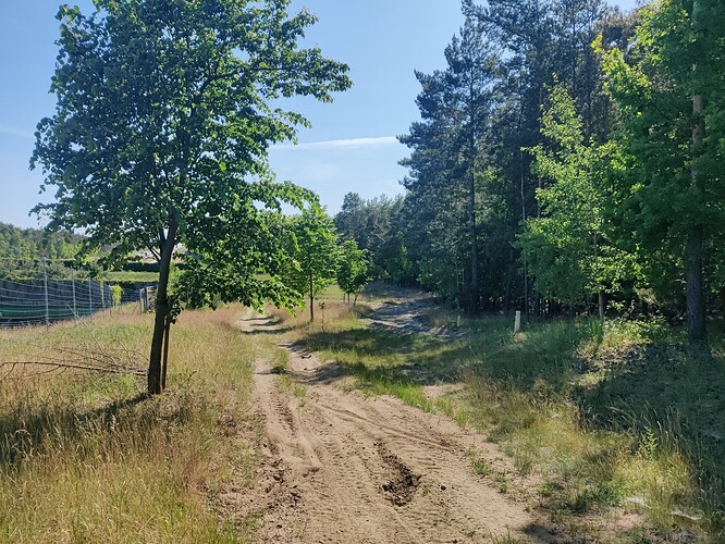 czatolin