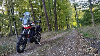 P_20241012_155037