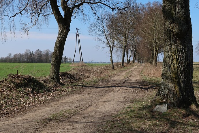 Powrót na track - objazd zaoranej drogi Naprom - kier. Zajączki 2
