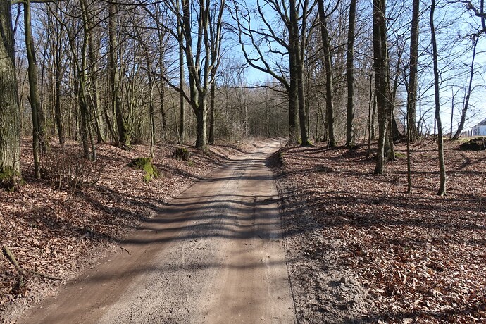 Wojtkowizna-Wyrandy_05