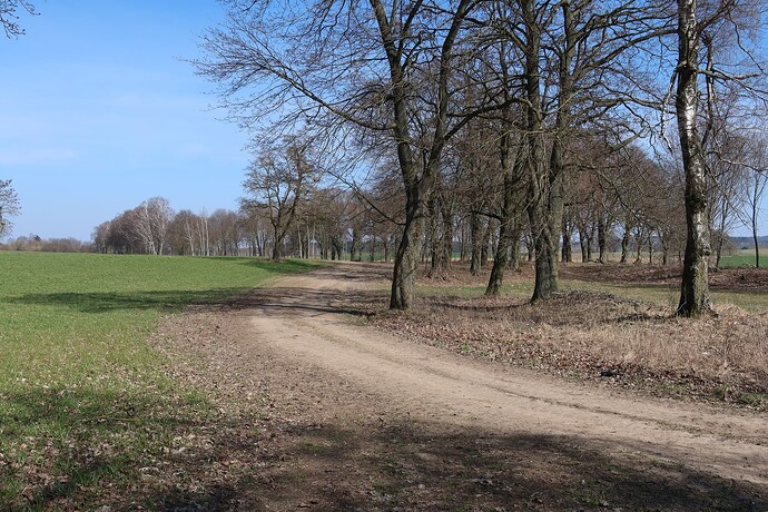 Powrót na track - objazd zaoranej drogi Naprom - kier. Zajączki 1