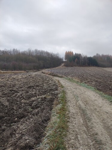 podjazd kamienisty