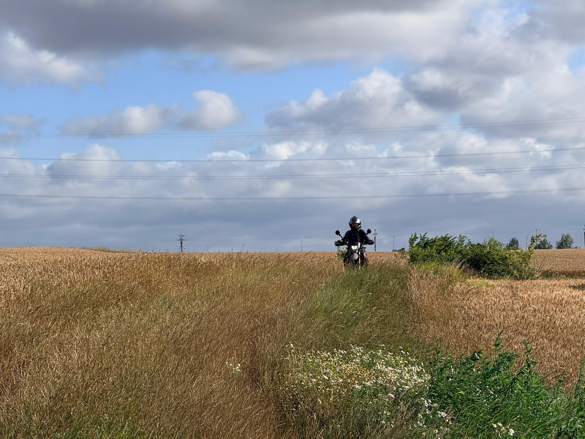 IMG-20260703-WA0019